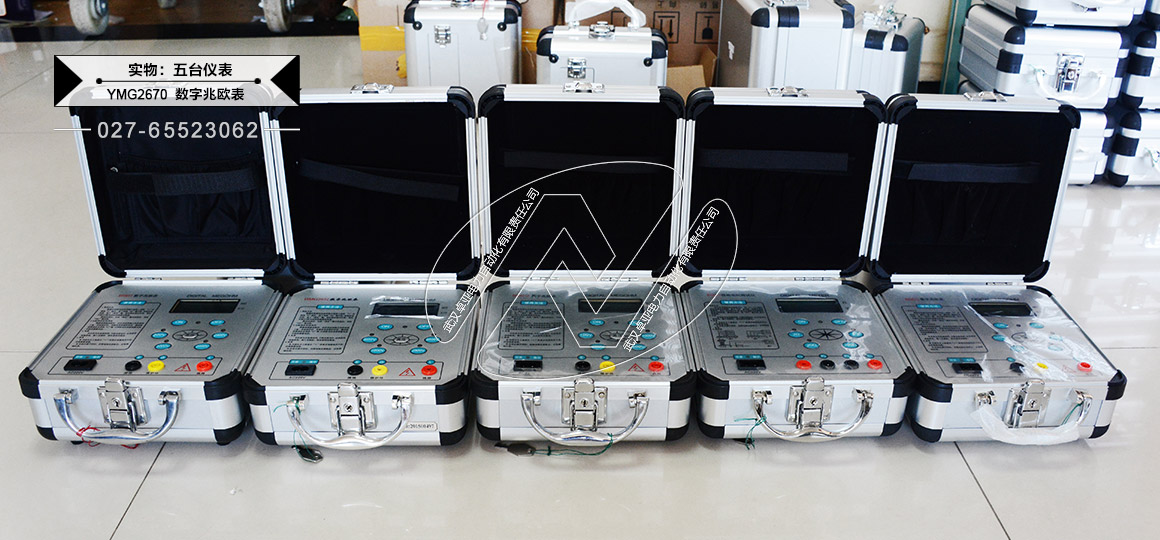 五臺(tái)100V/250V/500V/1000V數(shù)字兆歐表