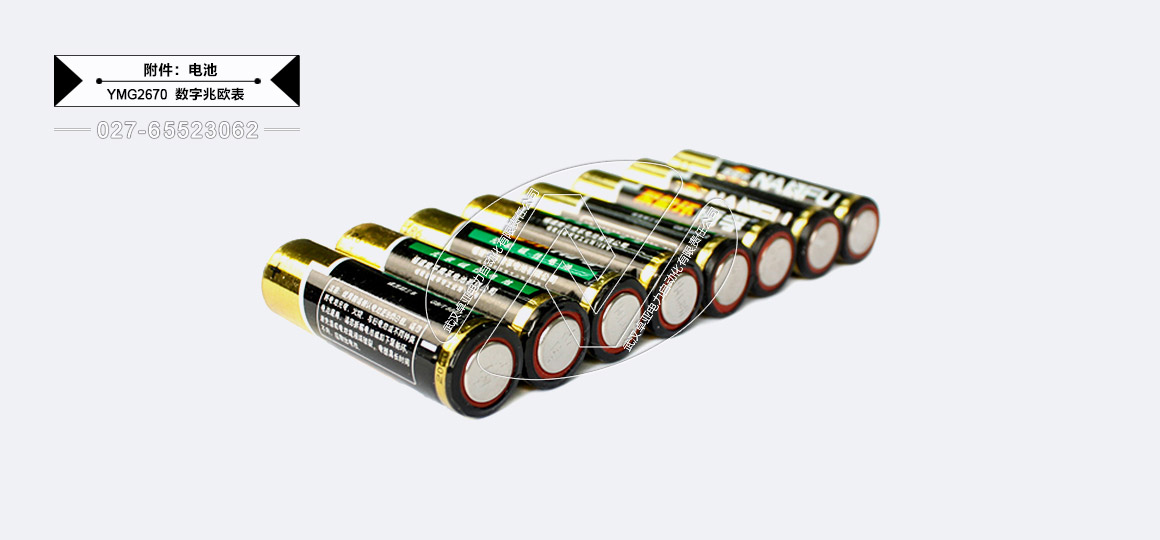 100V/250V/500V/1000V數(shù)字兆歐表 - 供電電池