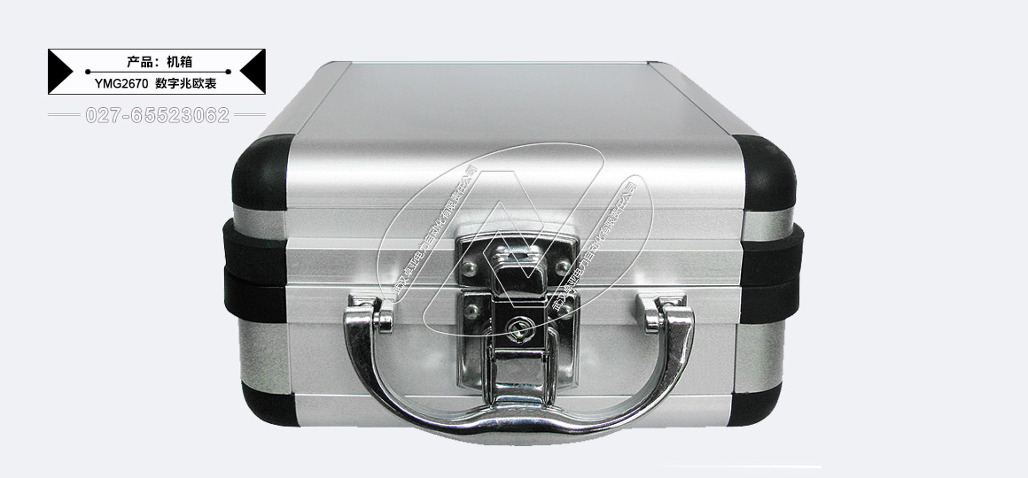 100V/250V/500V/1000V數(shù)字兆歐表 - 機(jī)箱