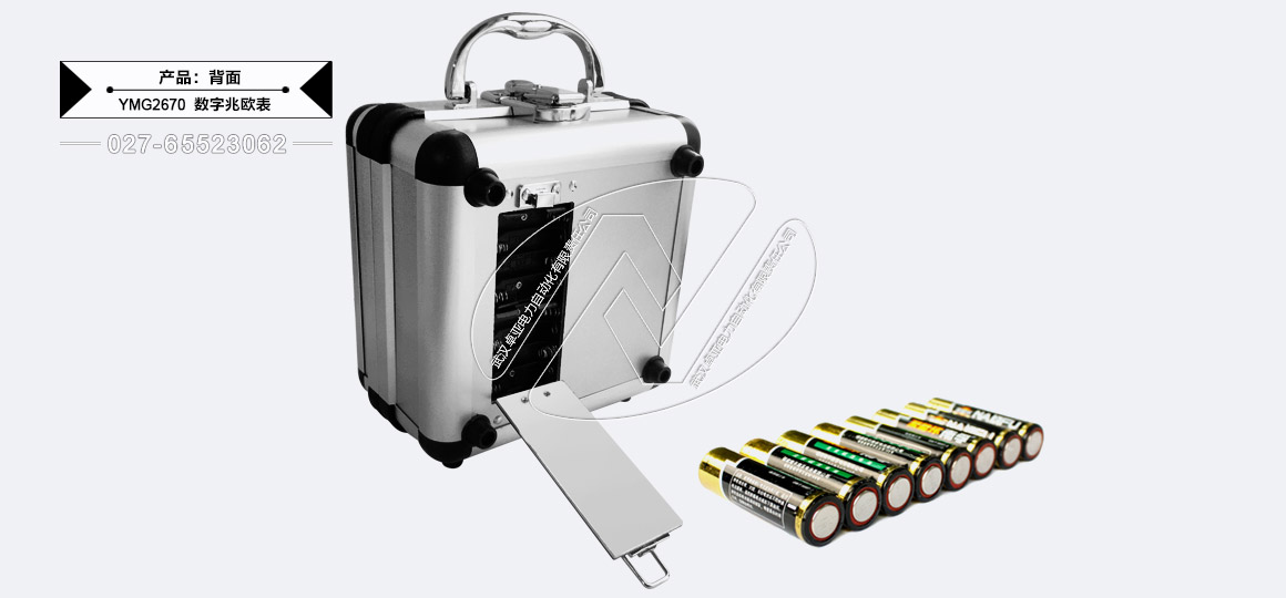 100V/250V/500V/1000V數(shù)字兆歐表 - 機(jī)箱背面電池倉