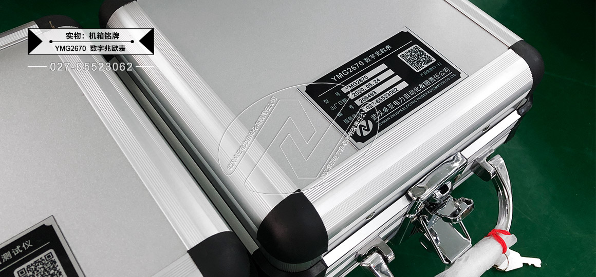 100V/250V/500V/1000V數(shù)字兆歐表 - 出廠銘牌